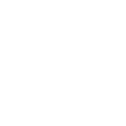 Dplus KIA 로고